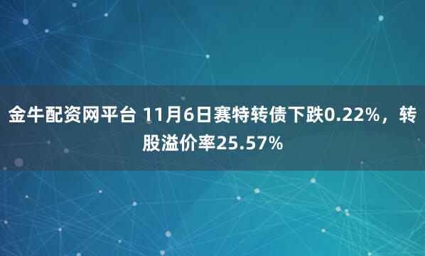 金牛配资网平台 11月6日赛特转债下跌0.22%，转股溢价率25.57%