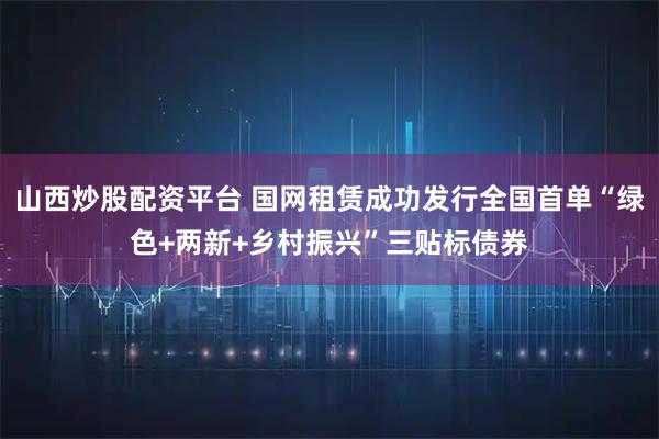 山西炒股配资平台 国网租赁成功发行全国首单“绿色+两新+乡村振兴”三贴标债券