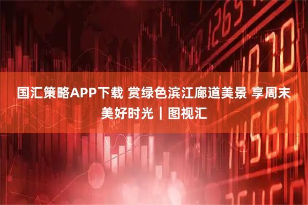 国汇策略APP下载 赏绿色滨江廊道美景 享周末美好时光｜图视汇