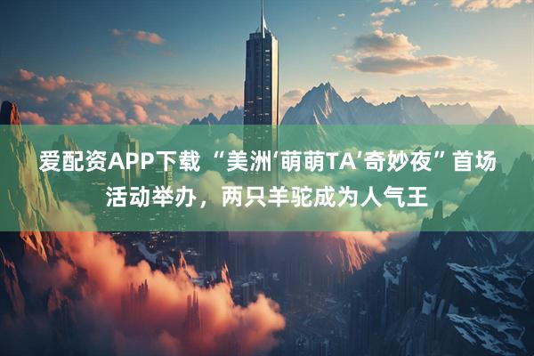 爱配资APP下载 “美洲‘萌萌TA’奇妙夜”首场活动举办,两只羊驼成为人气王